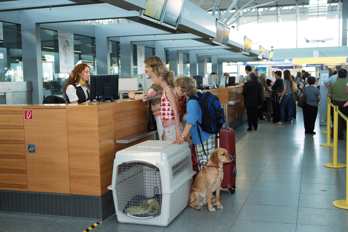 Familie checkt mit Hund am Schalter ein